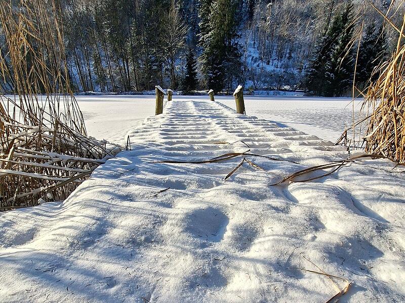 Leserfotos: So sch&ouml;n ist der Frankenwald im SchneeLeserfotos Schnee Januar 2026
