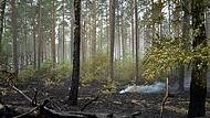 Weitere Entwicklung beim Waldbrand im M&uuml;ritz-Nationalpark