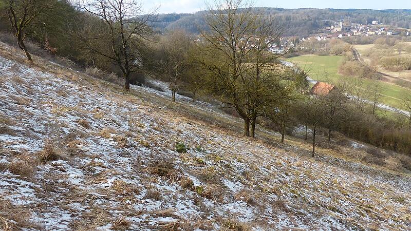 Die geräumte Bocksleite mit freiem Blick auf Trebgast.