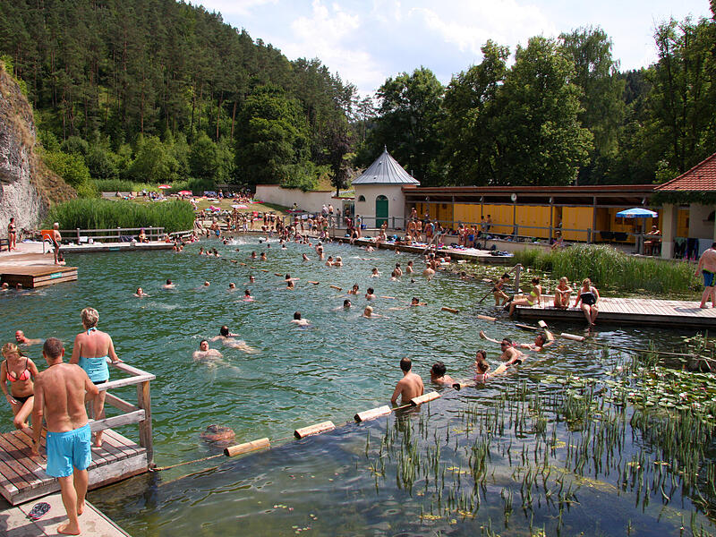 Verschiedene Wasserpflanzen sorgen f&uuml;r die nat&uuml;rliche Filterung ganz ohne Chemie
