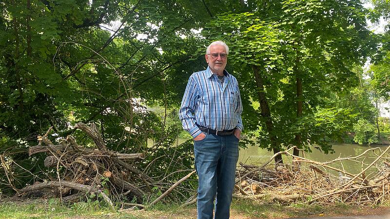 Missmut an Bamberger Hollergraben: Anwohner sind Baum-Ablagerungen ein Dorn im Auge