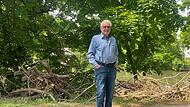 Missmut an Bamberger Hollergraben: Anwohner sind Baum-Ablagerungen ein Dorn im Auge Missmut an Bamberger Hollergraben: Anwohner sind Baum-Ablagerungen ein Dorn im Auge