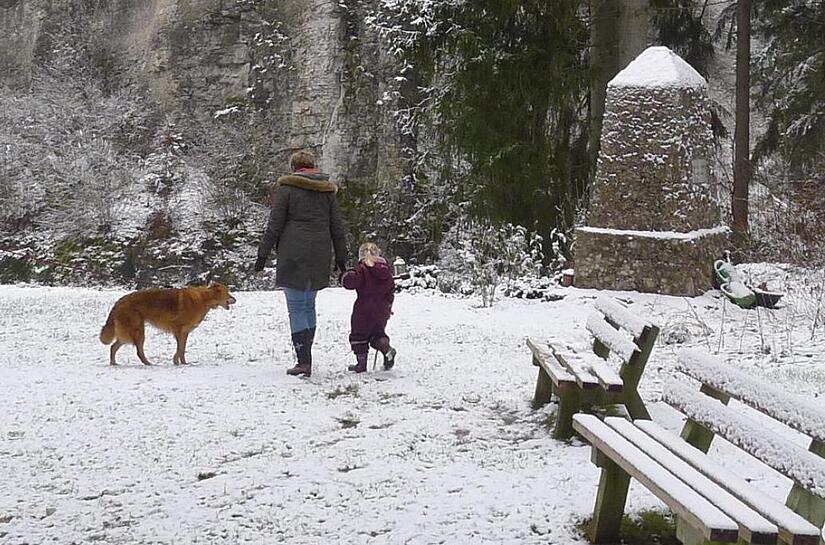 Das Leidingshofer Tal, ein Seitental des Leinleitertals, bietet  die perfekten Bedingungen für eine Winterwanderung  - oder einen kleinen Spaziergang mit Hund und Kind.Forchheim & Fränkische Schweiz
