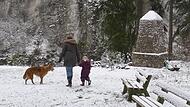 Das Leidingshofer Tal, ein Seitental des Leinleitertals, bietet  die perfekten Bedingungen für eine Winterwanderung  - oder einen kleinen Spaziergang mit Hund und Kind.Forchheim & Fränkische Schweiz