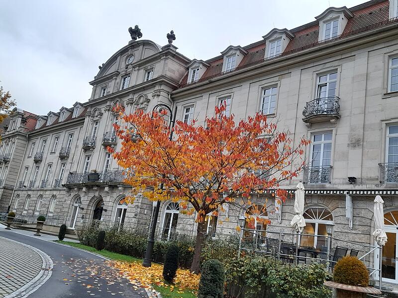 Vor dem Hotel Dorint im Bad Brückenauer Staatsbad leuchtet das gelbe Laub des Ginkgo-Baumes mit den orange-roten Kirschblättern um die Wette.