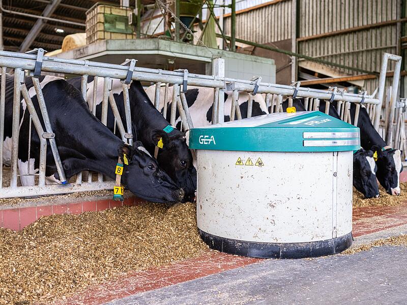 Fütterungsroboter von Gea Fütterungsroboter von Gea