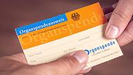 Wer bereit ist, nach seinem Tod Organe zu spenden, kann Leben retten.