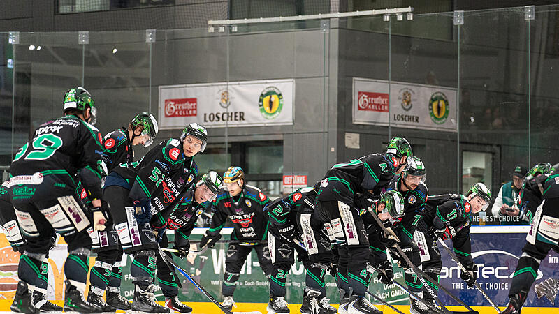 H&ouml;chstadt Alligators