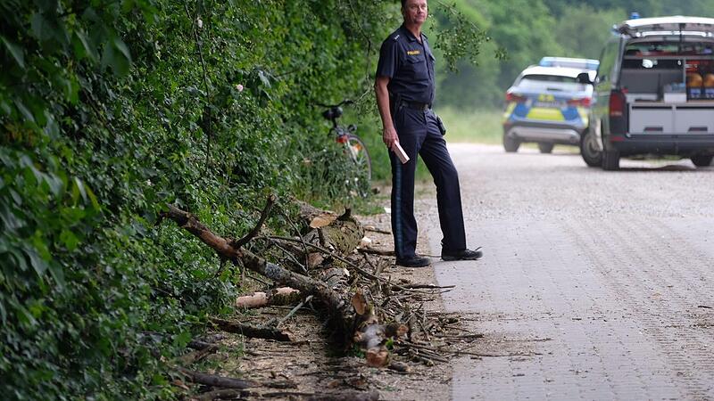 Der Ast war ersten Erkenntnissen nach morsch.Forchheim & Fr&auml;nkische Schweiz