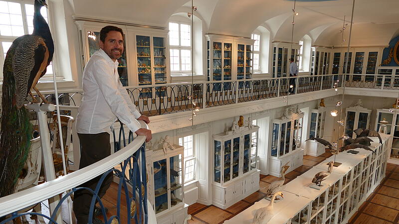 Museumsleiter Oliver Wings und sein Team wollen den Status quo im geschichtstr&auml;chtigen Vogelsaal erhalten. Der promovierte Geowissenschaftler und Pal&auml;ontologe Oliver Wings ist seit 2022.