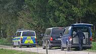 Polizei sucht mutmaßlichen Puma in Bayern Polizei sucht mutmaßlichen Puma in Bayern