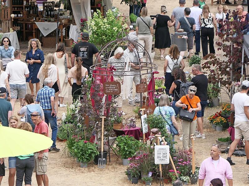 Zum Mainufer-Gartenfest als Nachfolgeveranstaltung der K&ouml;nigsberger Rosenmesse werden Tausende Besucherinnen und Besucher erwartet.