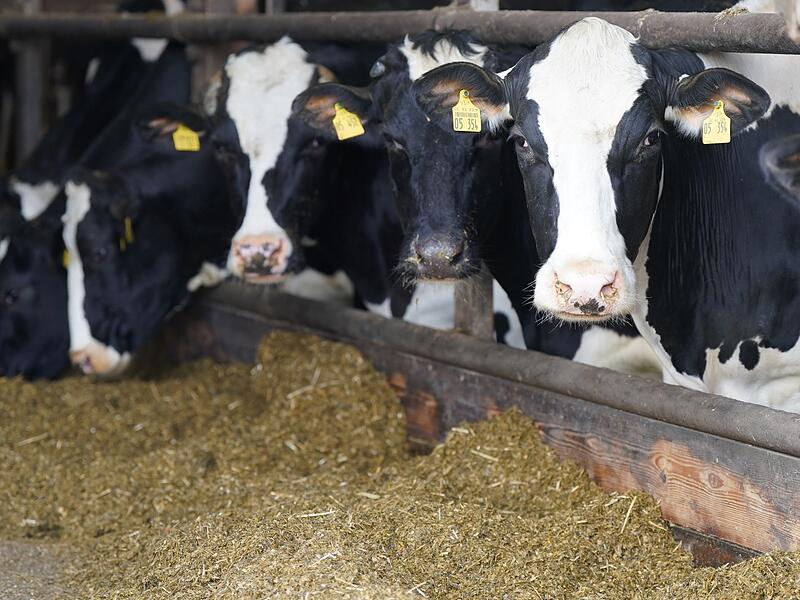 Er&ouml;ffnung Landwirtschafts- und Verbrauchermesse Norla
