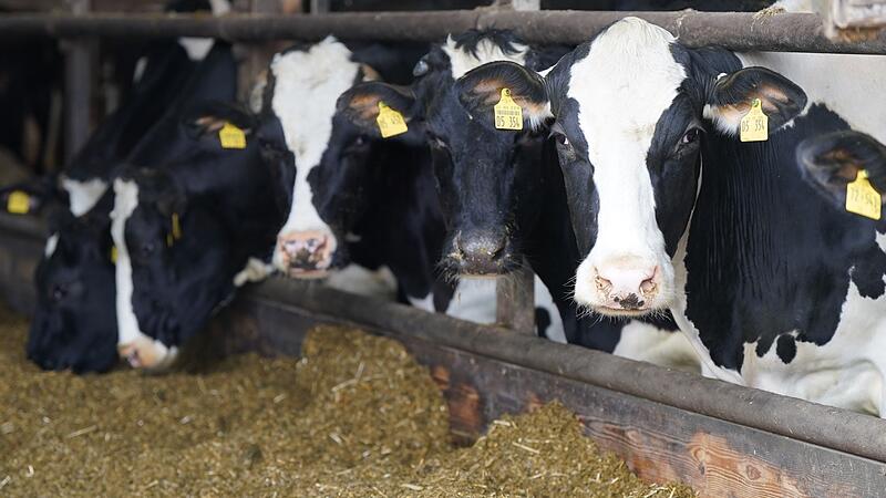 Eröffnung Landwirtschafts- und Verbrauchermesse Norla Eröffnung Landwirtschafts- und Verbrauchermesse Norla