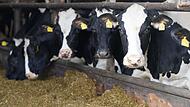 Eröffnung Landwirtschafts- und Verbrauchermesse Norla Eröffnung Landwirtschafts- und Verbrauchermesse Norla