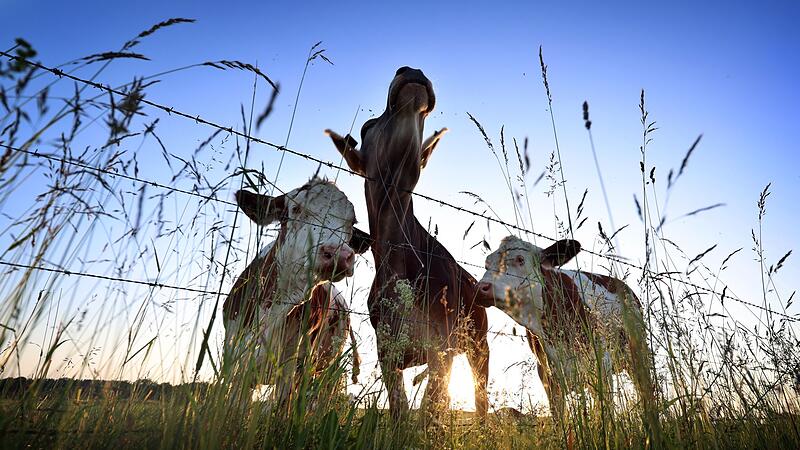 Wetter in Bayern Wetter in Bayern