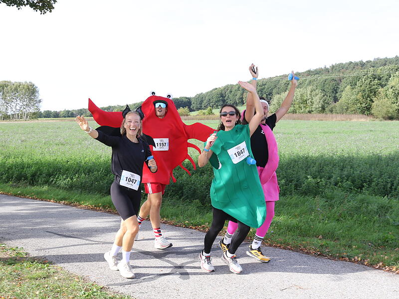Brauereienlauf in  Litzendorf im Kreis Bamberg 2026Brauereienlauf Litzendorf 2026