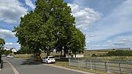 Es könnte bald vorbei sein mit dem schattigen Parkplatz in Heßdorf. Muss die riesige Platane weichen?