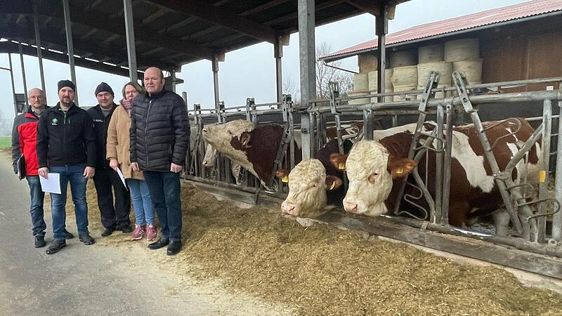 Im Bullenmastbetrieb von Ramona Brehm macht der  Bauernverband auf die Probleme des Mercosur-Abkommens aufmerksam: (v.l.) Geschäftsführer Klaus Pieroth, stv. Kreisobmann Markus Schmitt, Kreisobmann Dieter Reißenweber,  Ramona Brehm sowie Reinhold ...