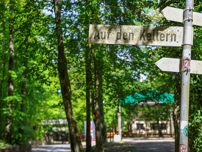Der Kellerwald: Forchheims &bdquo;gr&uuml;nes Wohnzimmer&ldquo;Forchheim & Fr&auml;nkische Schweiz