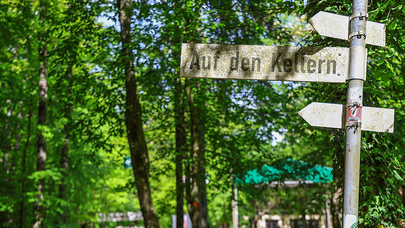 Der Kellerwald: Forchheims &bdquo;gr&uuml;nes Wohnzimmer&ldquo;Forchheim & Fr&auml;nkische Schweiz
