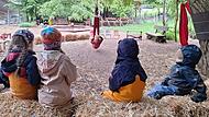 An dem zentralen Platz des Bauernhof-Kindergartens „Lillar Farm Mudbyxor“ in Wildensorg können die Kinder unter der Weide schaukeln.