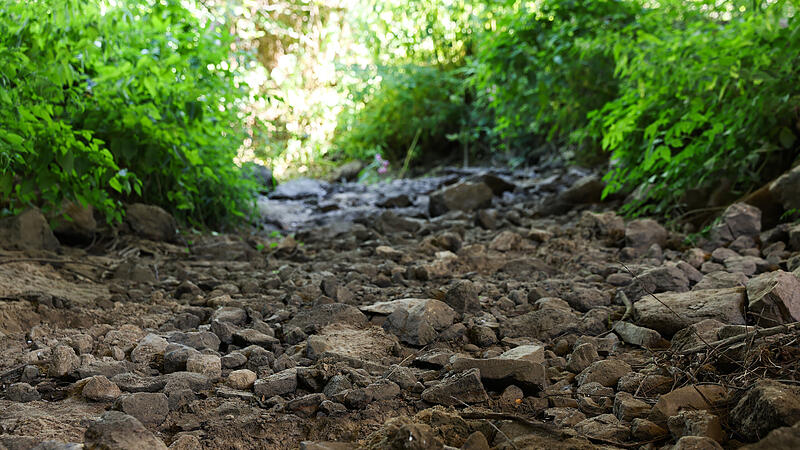Niedrigwasser und Trockenheit in der Region Bamberg