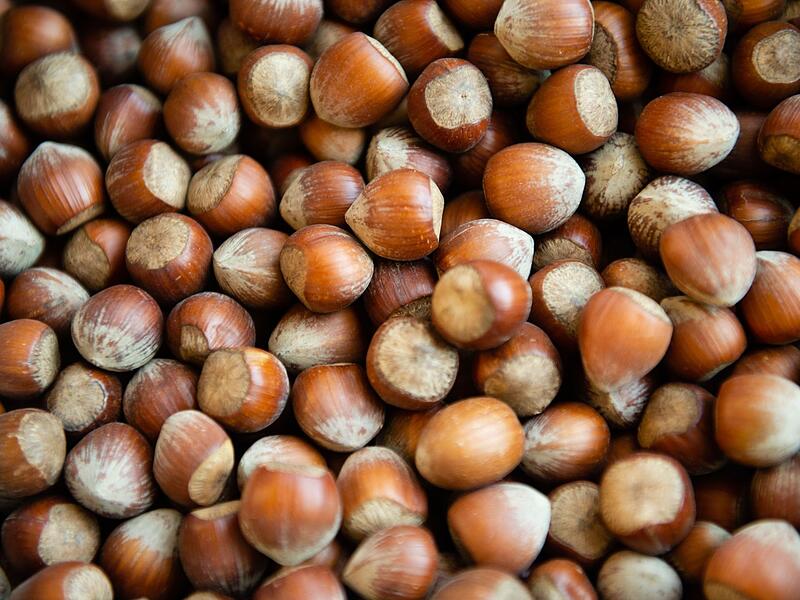 Haselnüsse