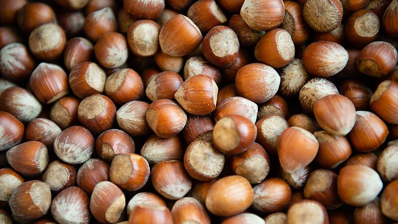 Haselnüsse