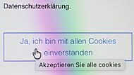 Einwilligung in die Datenschutzerkl&auml;rung