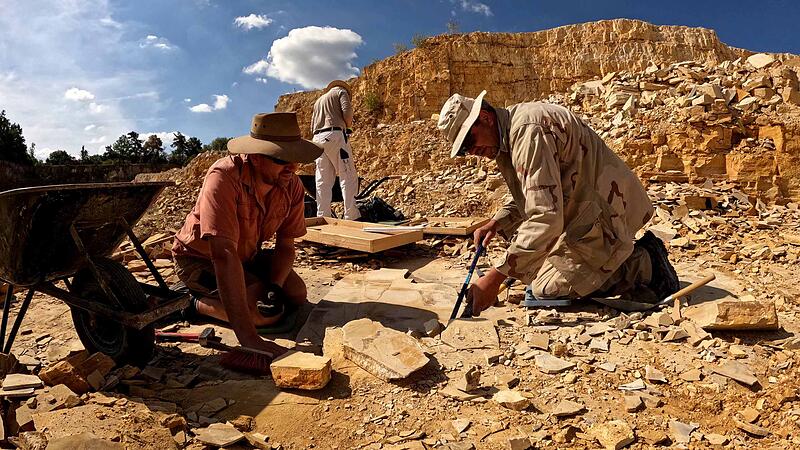 Oliver Wings, Bruno Amann und Thomas Bechmann (v. r.) bei der Freilegung und Vermessung von Fossilien im Wattendorfer Plattenkalk