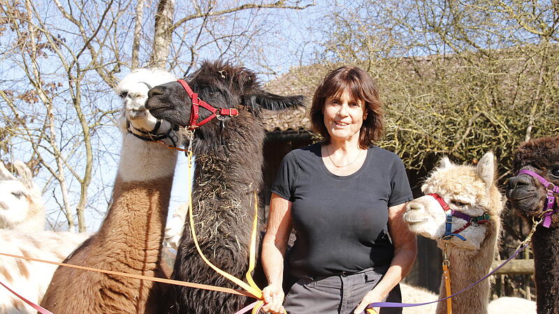 Sonne und Natur w&auml;hrend der Alpakawanderung
