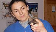 Dr. Daphne Papadopoulos hält im Herbst  einen kleinen Igel, der überwintert werden muss – aber nicht, um dann Opfer eines Mähroboters zu werden.