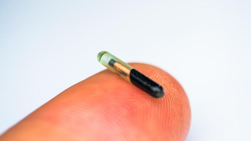 Mikrochip-Implantate sind kaum gr&ouml;&szlig;er als ein Reiskorn, k&ouml;nnen aber von gro&szlig;em Nutzen sein.
