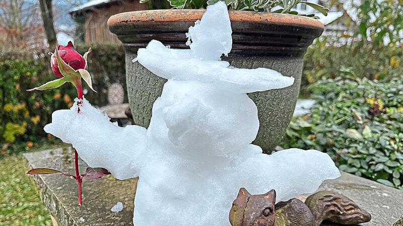 Ob es bald f&uuml;r einen Mini-Schneemann wie am 20. November 2025 im Landkreis Forchheim reichen wird, bleibt offen.