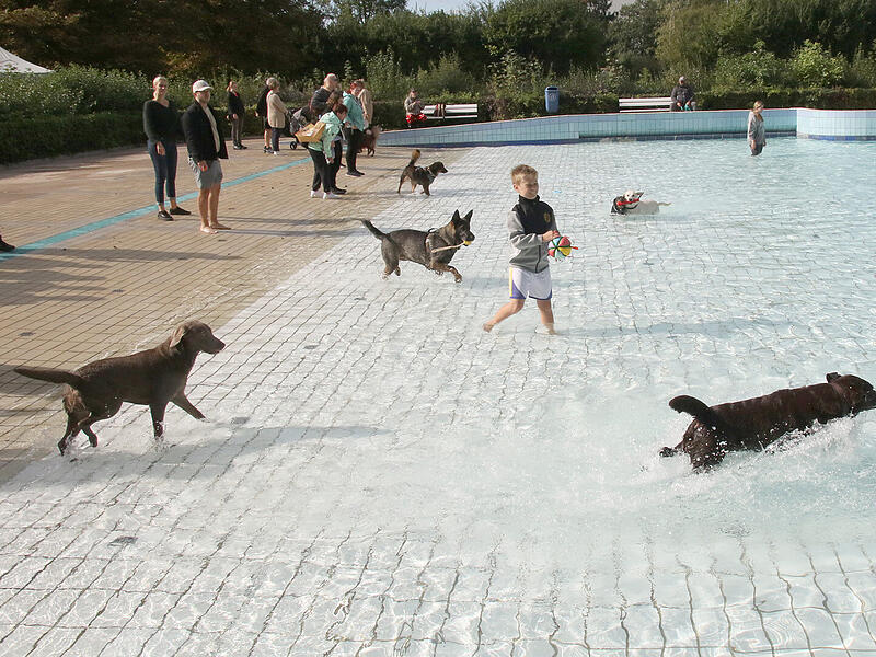 Hundebadetag Aquaria 2024Hundebadetag im Aquaria 2024 Hundebadetag Aquaria 2024Hundebadetag im Aquaria 2024