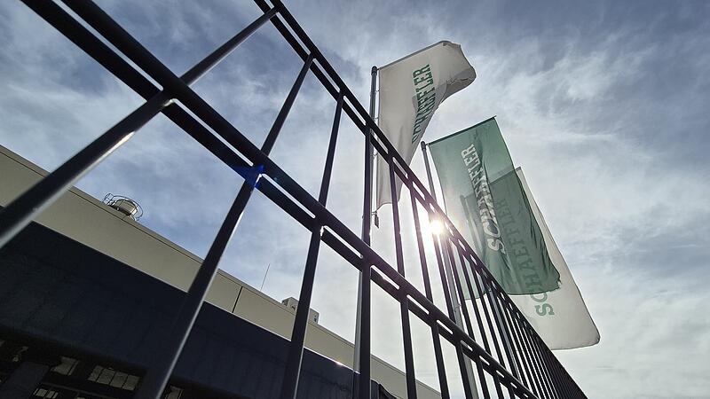 Schaeffler-Werk in Hirschaid