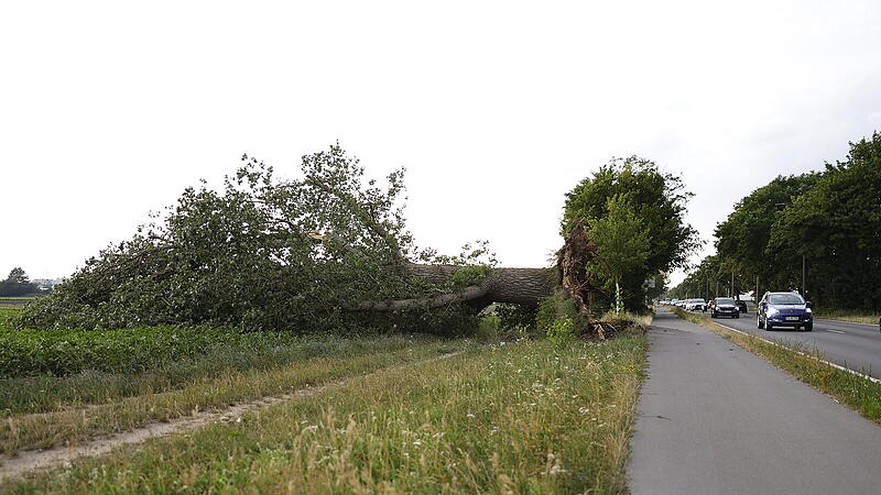 Starkes Unwetter trifft Mittelfranken: Heftiger Starkregen sorgt f&uuml;r &uuml;berschwemmte Stra&szlig;en und umgest&uuml;rzte B&auml;ume