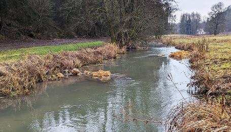 So sollte der Fluss Aufseß nach der Renaturierung aussehen.