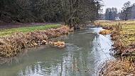 So sollte der Fluss Aufseß nach der Renaturierung aussehen.