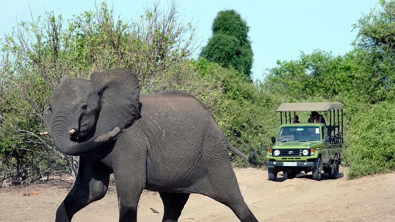 Spaniens Altkönig Juan Carlos