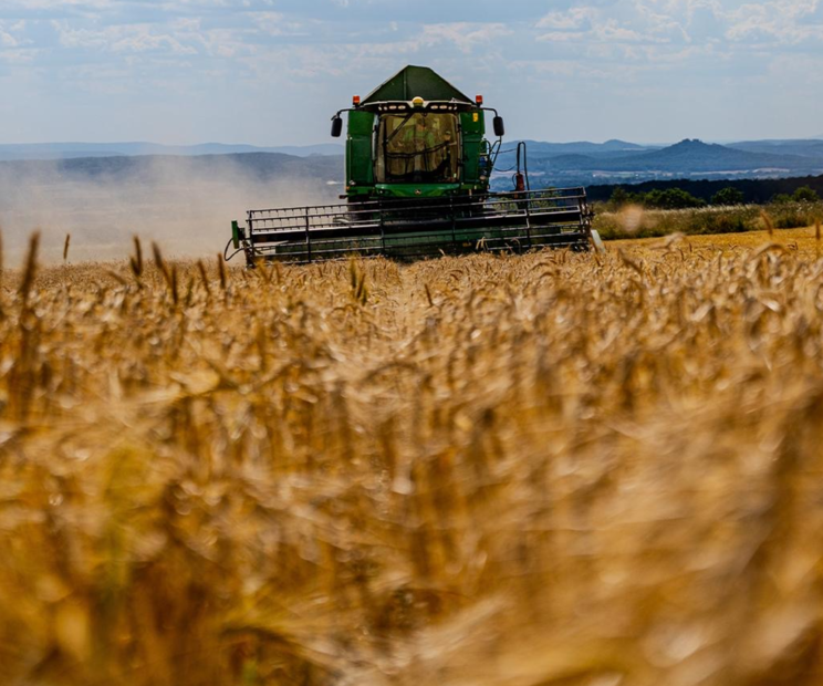 M&auml;hdrescher bei der Ernte
