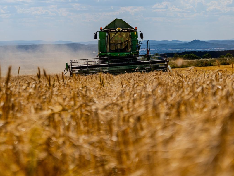 Mähdrescher bei der Ernte Mähdrescher bei der Ernte