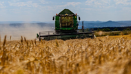 M&auml;hdrescher bei der Ernte
