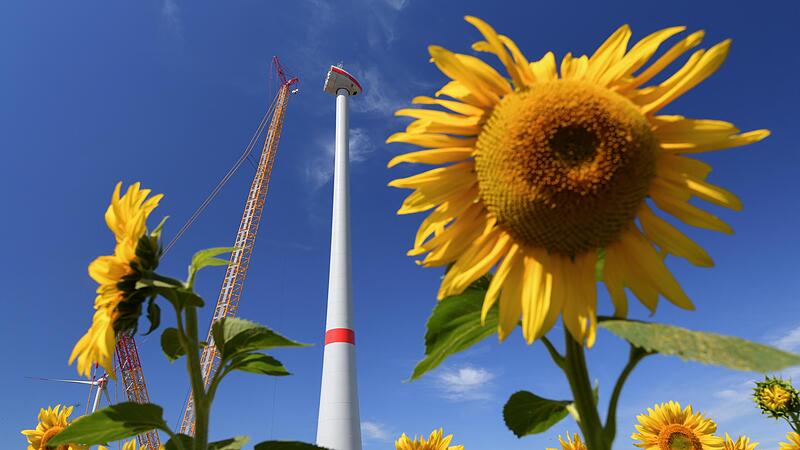 Die Christdemokraten und Liberalen blockierten ein zentrales Naturschutzgesetz des Green Deals.