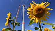 Die Christdemokraten und Liberalen blockierten ein zentrales Naturschutzgesetz des Green Deals.