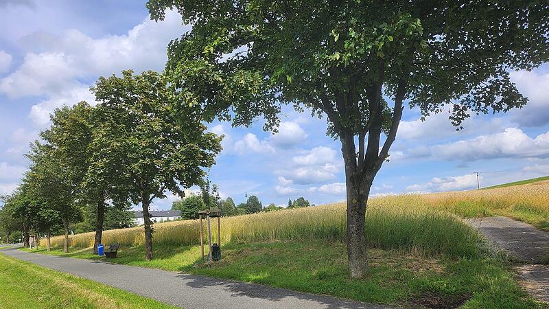 Zwischen Steinbach-Ort und Grundschule soll eine &bdquo;Entlastungsstra&szlig;e&ldquo; gebaut werden. Der Gesch&auml;ftsf&uuml;hrer der Wiegand-Glas Unternehmensgruppe, Nikolaus Wiegand, hofft auf eine Realisierung innerhalb der n&auml;chsten f&uuml;nf Jahre.