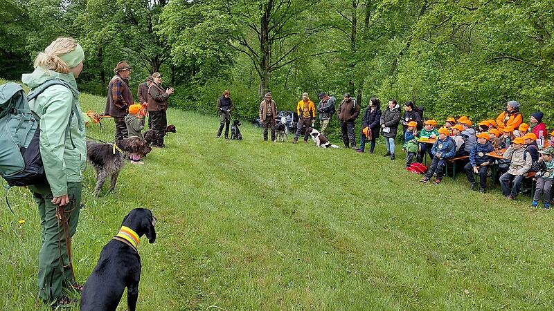 Waldtag f&uuml;r Grundsch&uuml;ler