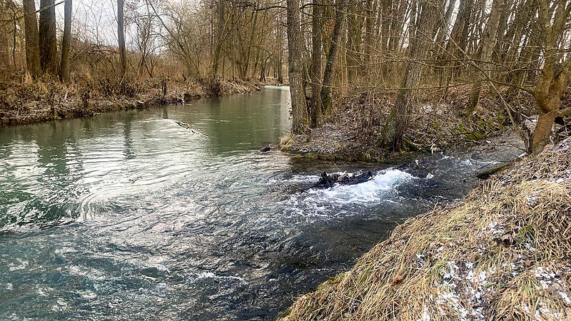 Im Bereich der Einm&uuml;ndung des Talwasserbaches in die Lauer soll f&uuml;r den neuen Freizeit- und Erholungspark ein Zugang zum Wasser geschaffen werden.
