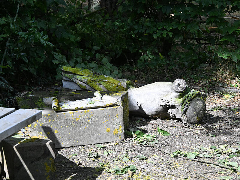 Sturmschäden LaurenziplatzSturmschäden am Laurenziplatz u.a.